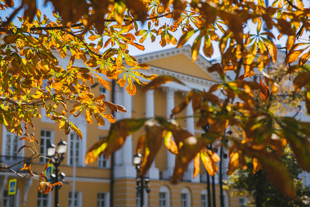 Three HSE University Projects Included in Shortlist of 9th All-Russia Prize ‘For Loyalty to Science’ Illustration for news: Three HSE University Projects Included in Shortlist of 9th All-Russia Prize ‘For Loyalty to Science’
